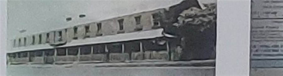 Early Development